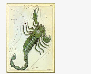 199906_zodiaque_3.jpg 199906_zodiaque_3.jpg