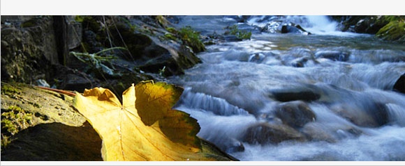 201007_montagne_itl_4.jpg 201007_montagne_itl_4.jpg