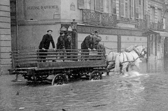 Les chevaux reprennent du service