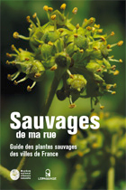 201207_sauvagesdemarue.jpg