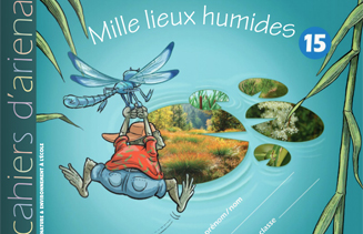 201807_millelieuxhumides.jpg