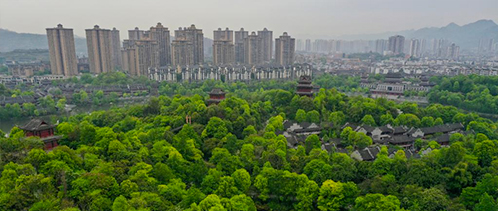 202203_chongqing.jpg